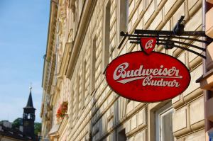 Budvar0001